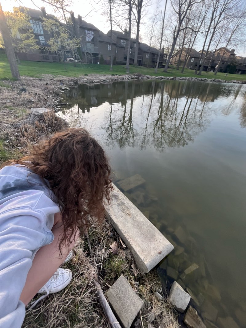 walking near me in Recreation Area in winter