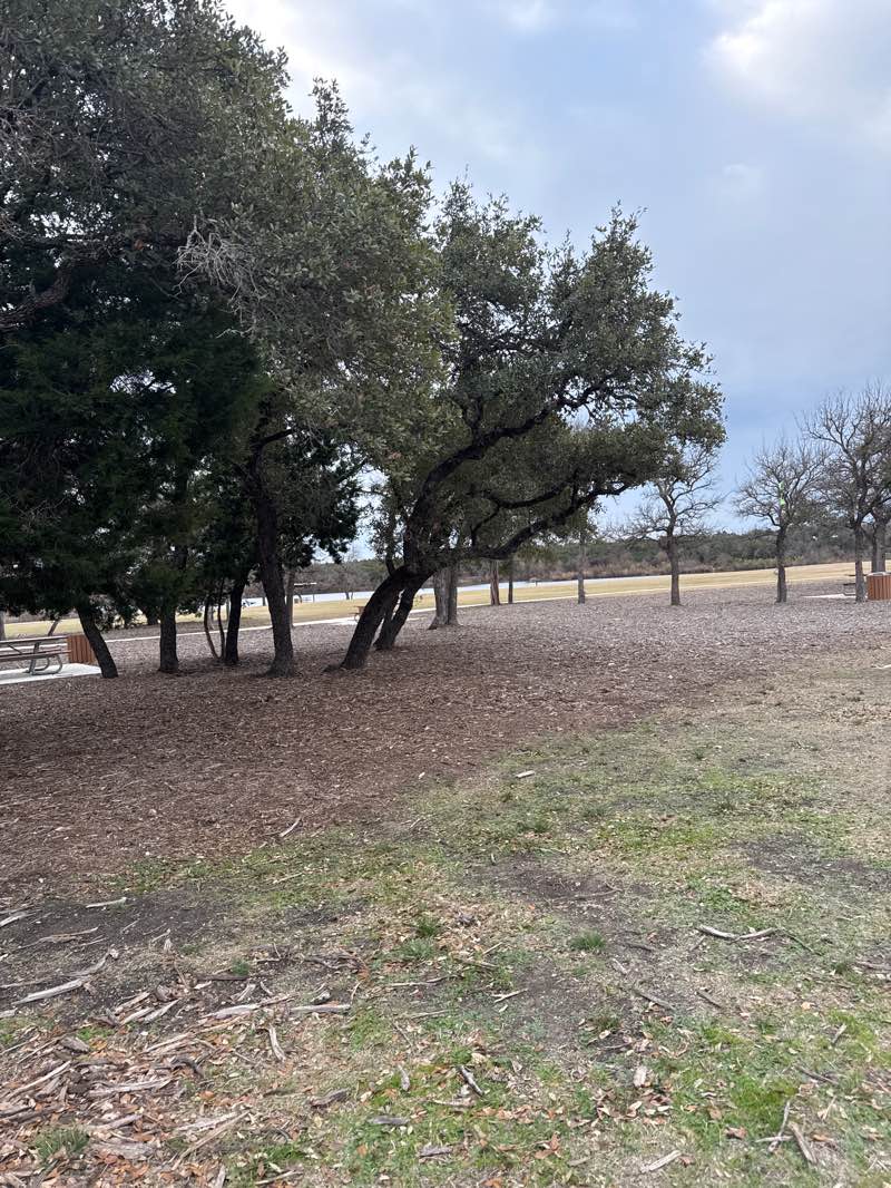 walking near me in Lakeline Park in winter
