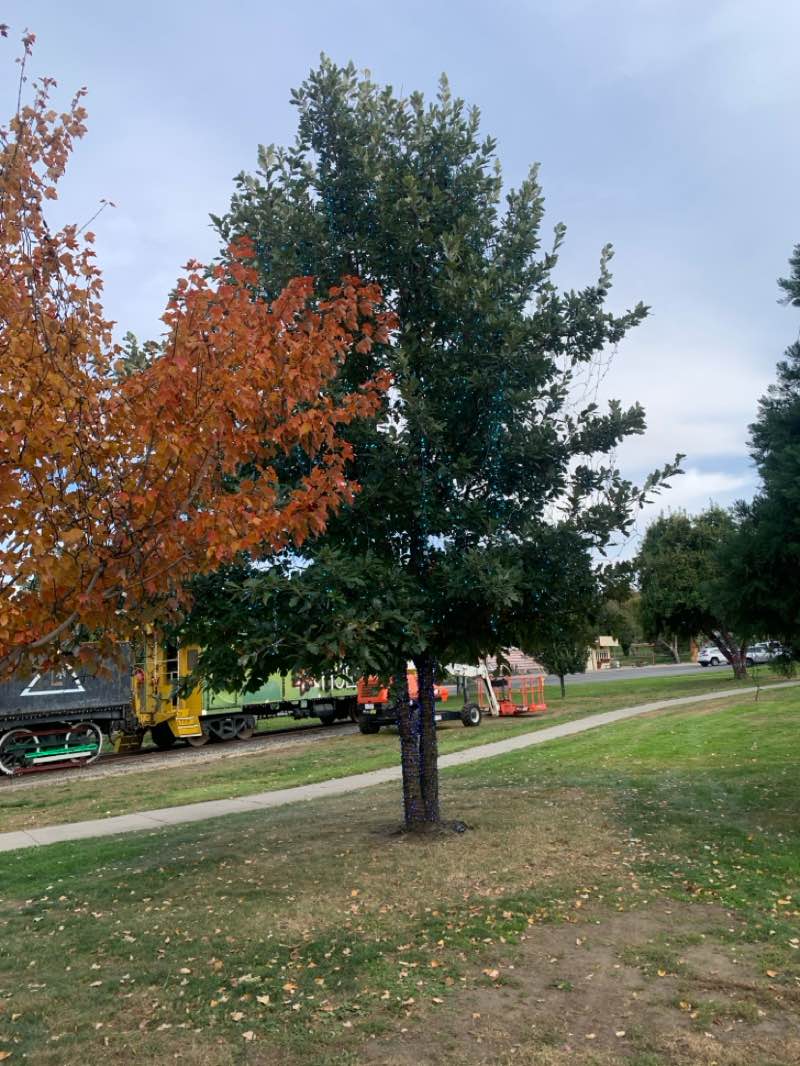 walking near me in Locomotive Park in autumn
