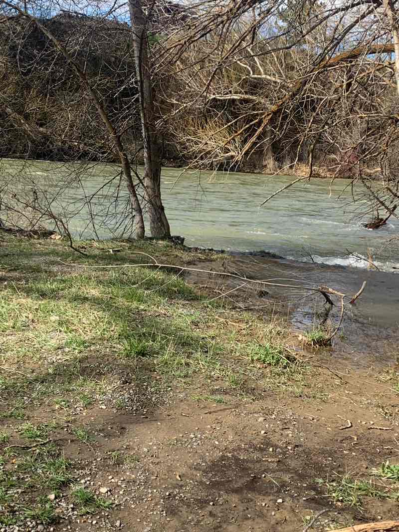 walking near me in Irene Rinehart Riverfront Park in spring