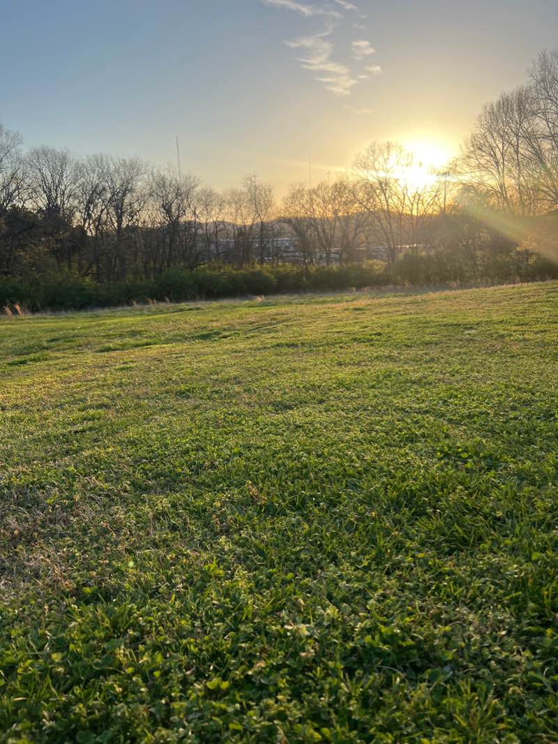 walking near me in Cedar Hill Park in winter