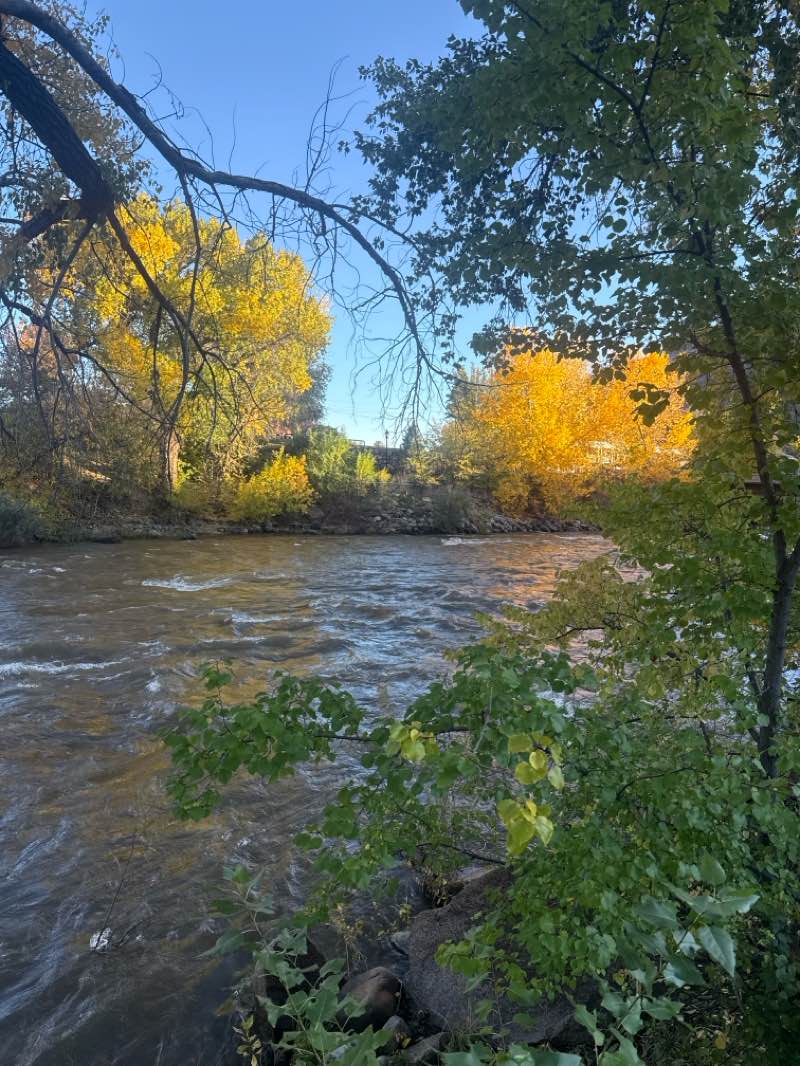 walking near me in Schneider Park in autumn