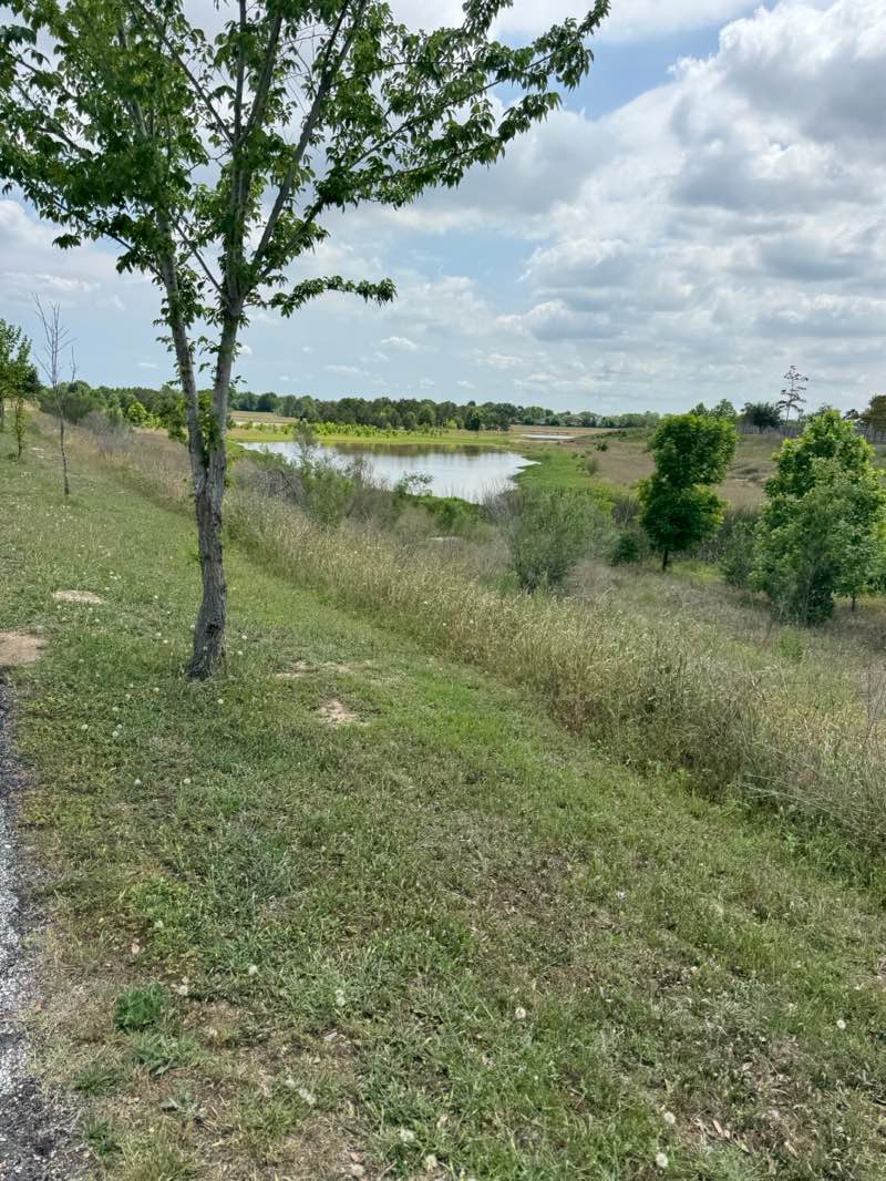 walking near me in Mason Creek Hike and Bike Trail in spring