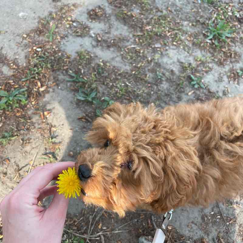 Наня и компания Anastasia Sergeeva post image