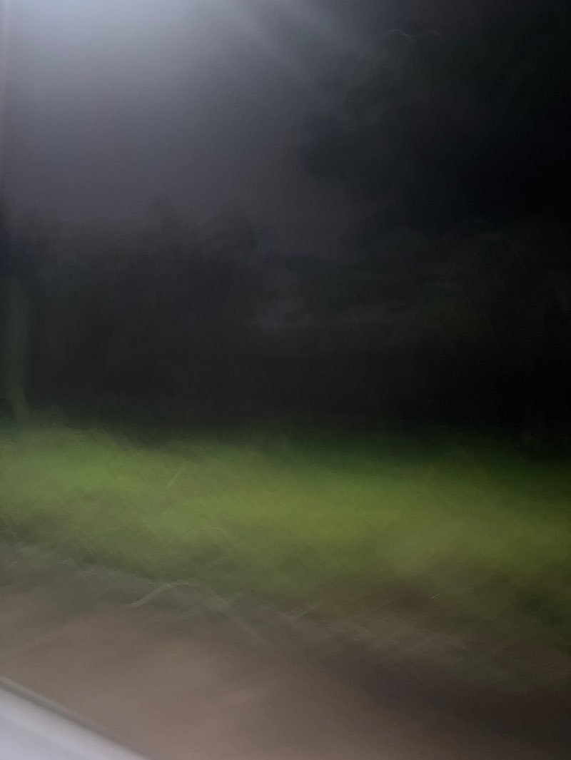 walking near me in Shrine of the National Flag in autumn