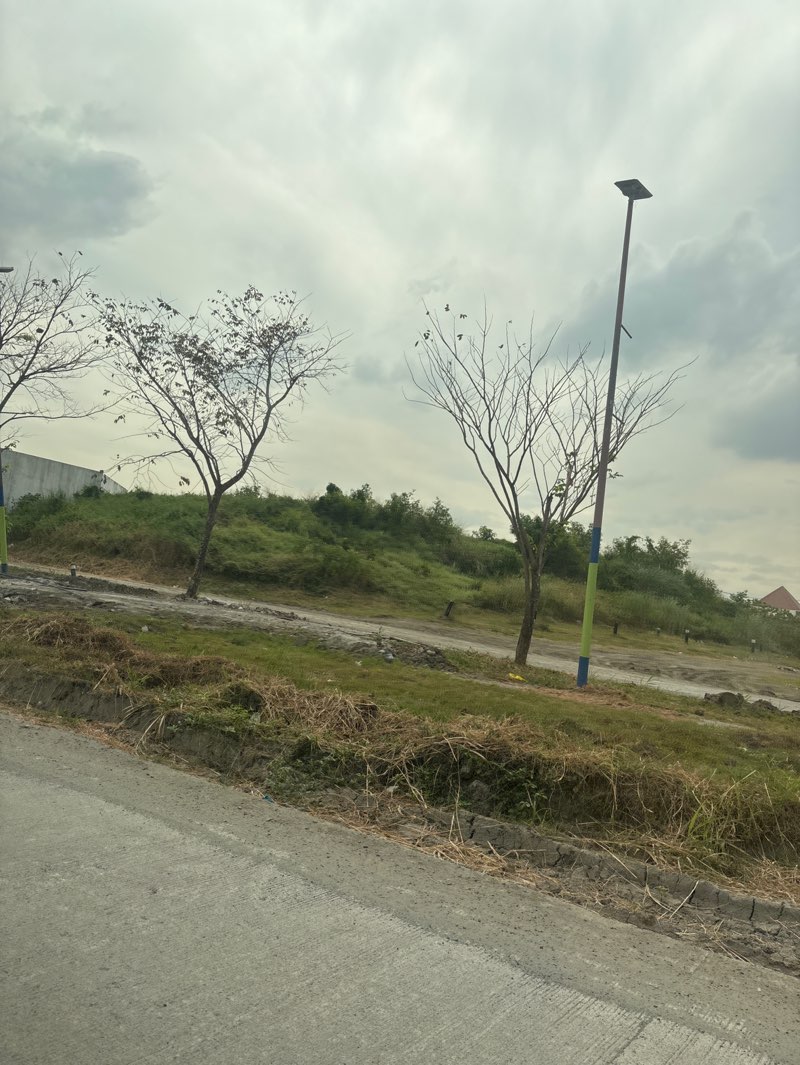 walking near me in Shrine of the National Flag in winter