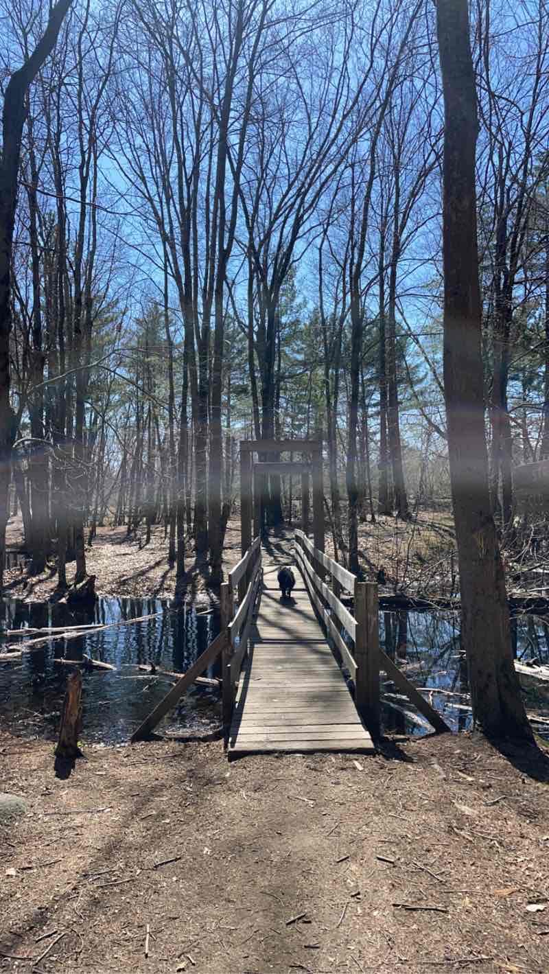 walking near me in Stratham Hill Park in winter