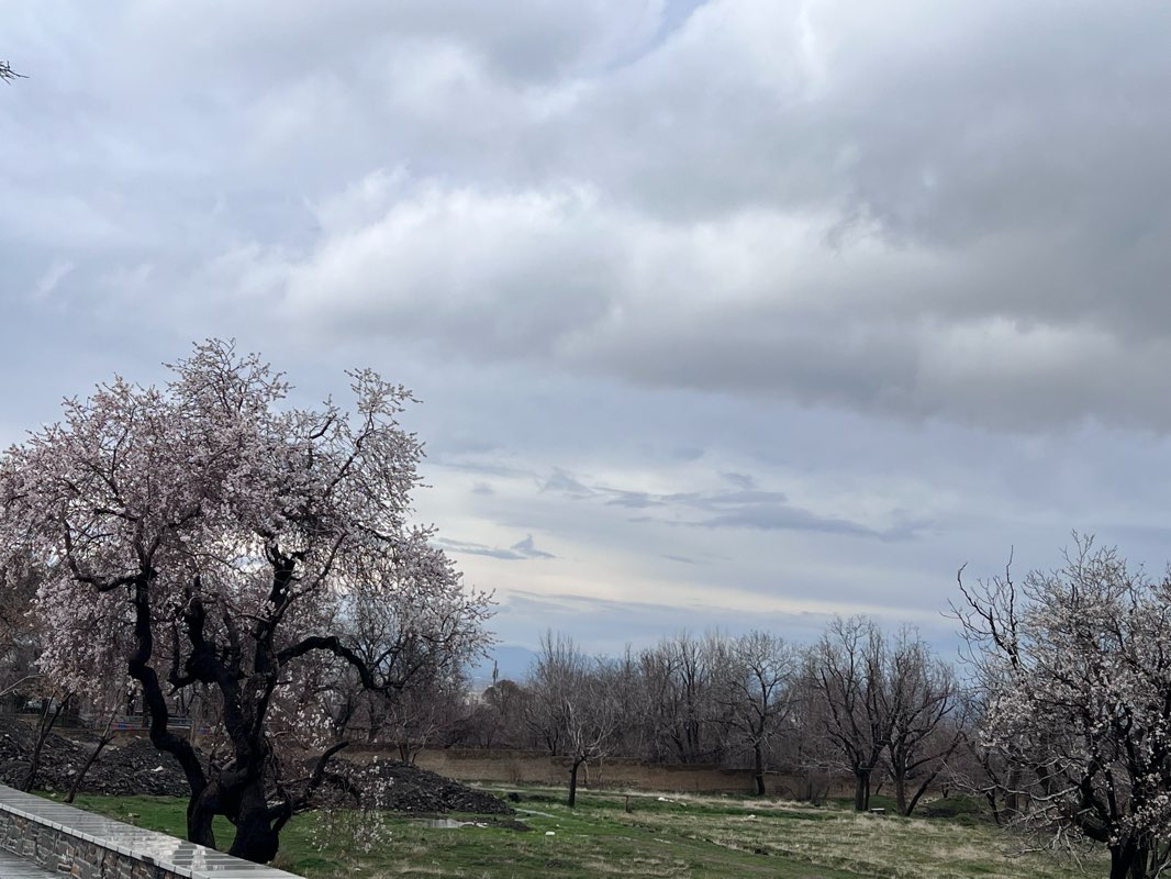 walking near me in بوستان مردم in winter