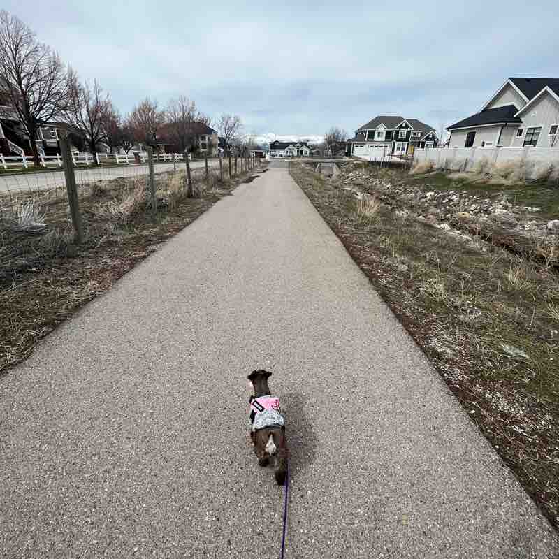 kennamitchell post 1