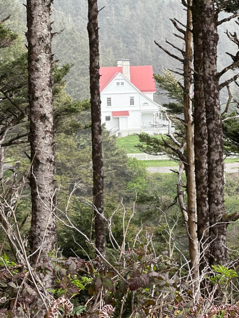walking near me in Cape Perpetua Southeast Marine Protected Area in winter