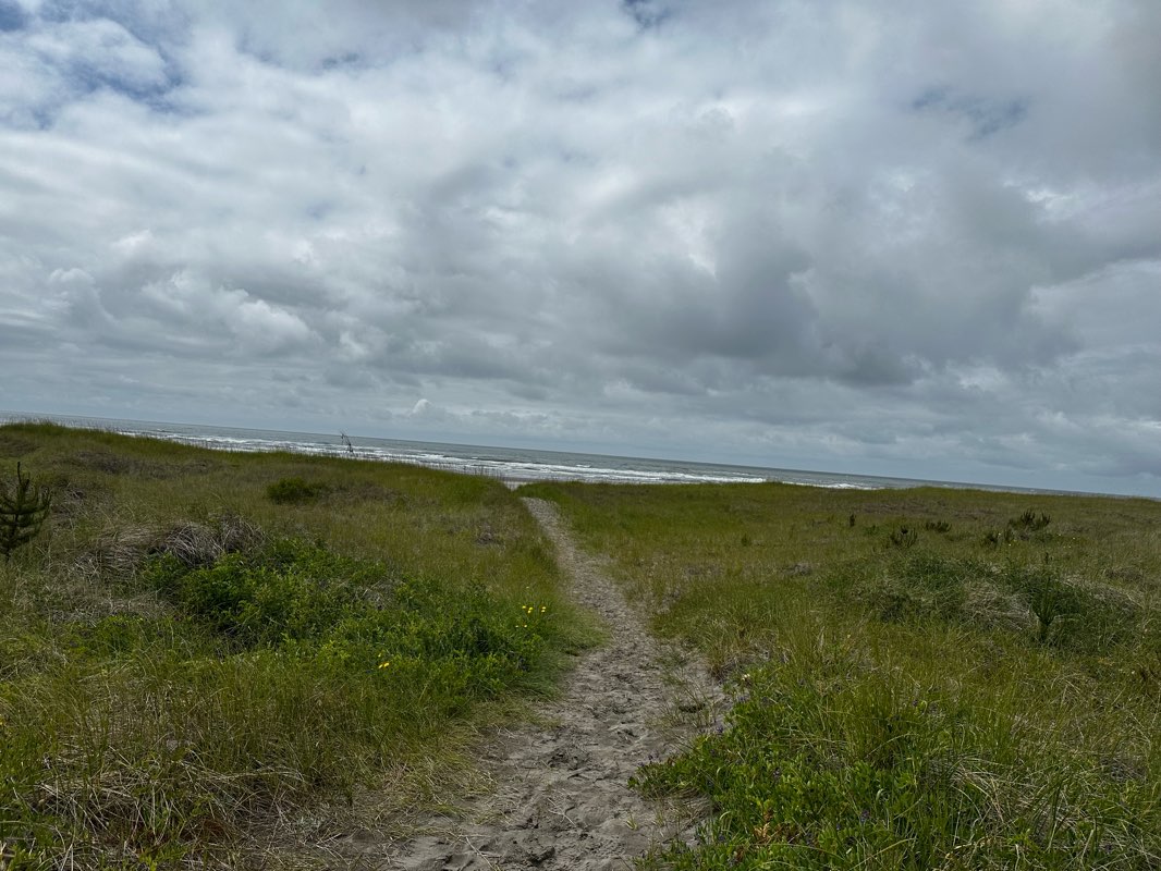 walking near me in Loomis Lake State Park in spring
