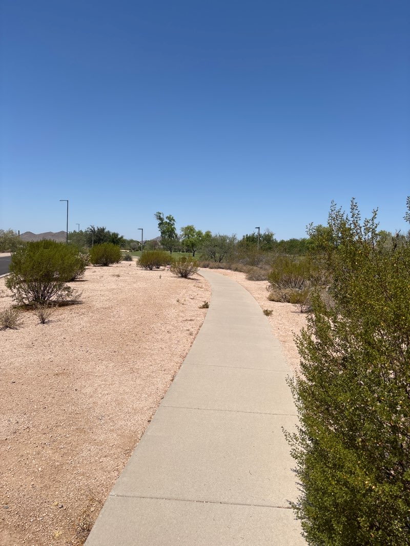 walking near me in John W. Teets Park in summer