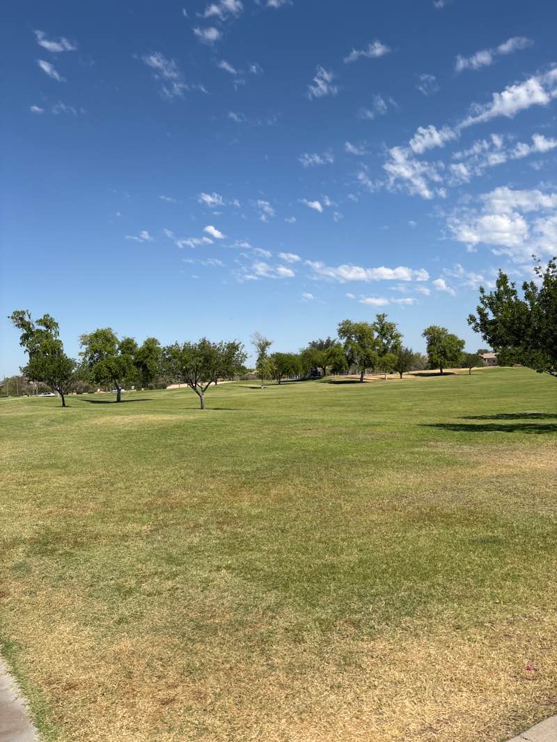 walking near me in John W. Teets Park in summer