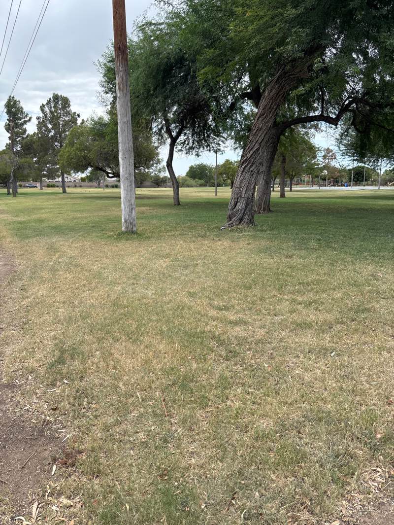 walking near me in Moon Valley Park in summer