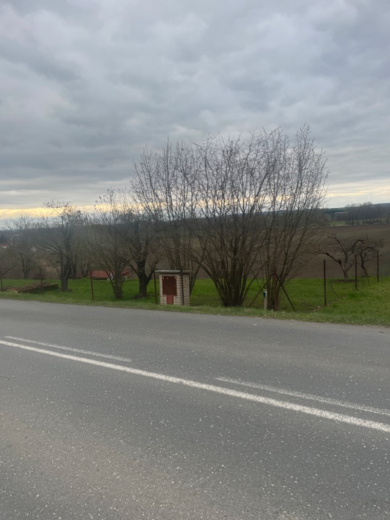 walking near me in Parčík u Zubatovské kaple in winter