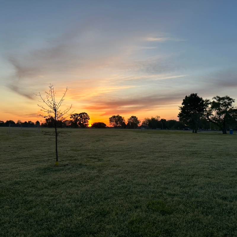 Mark E. Dysart post 1