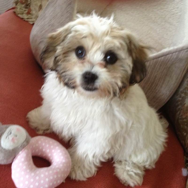 People help people xx Anne-T post image