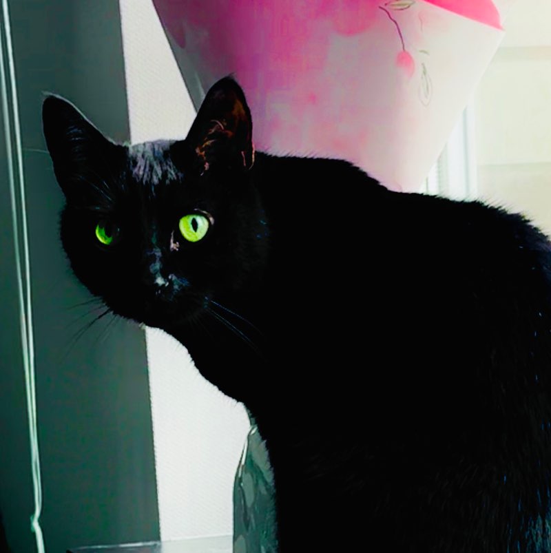 Александр profile