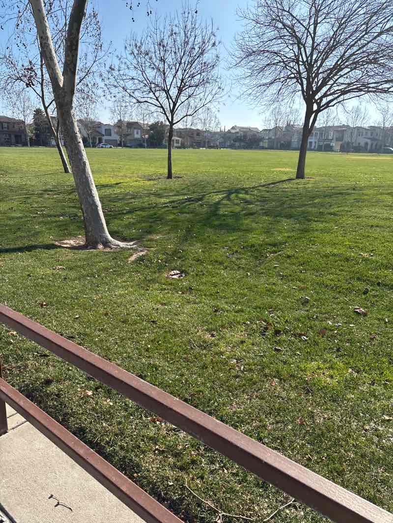 walking near me in Arlington Park in winter