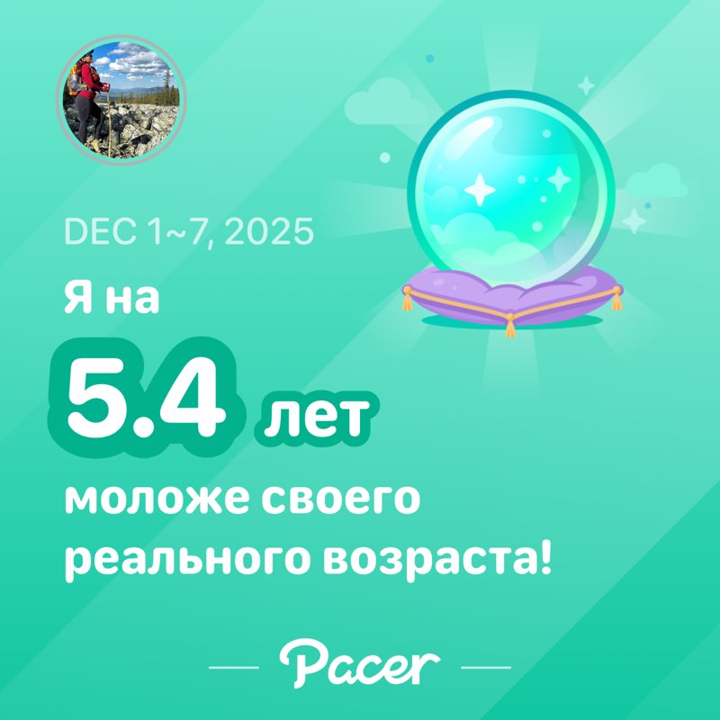 Белка 🐿️🐾 post 1