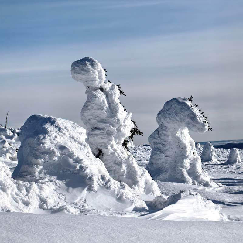 Белка 🐿️🐾 post 1