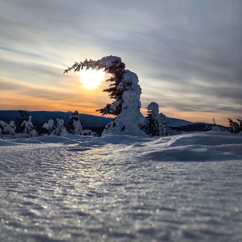 Белка 🐿️🐾 post 3