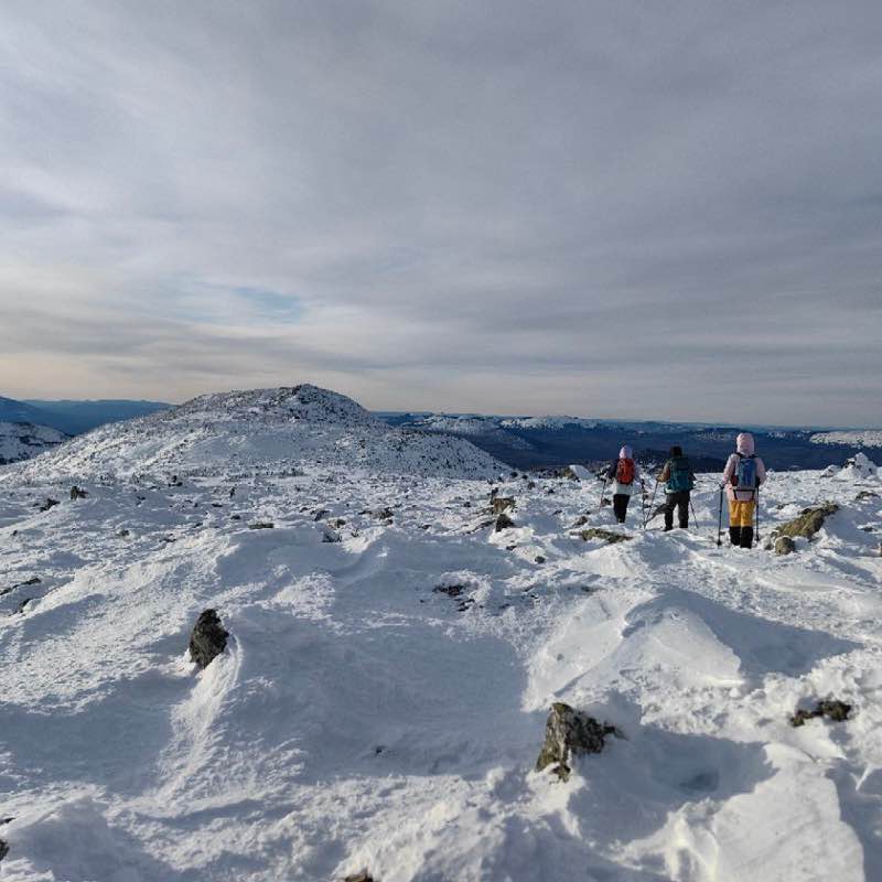 Белка 🐿️🐾 post 2