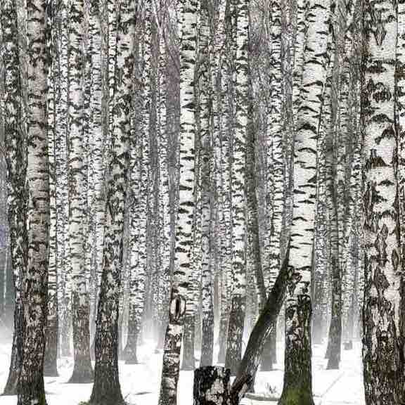 Юлия Новосёлова post 2