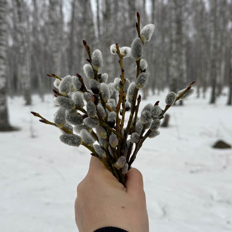 Юлия Новосёлова post 1