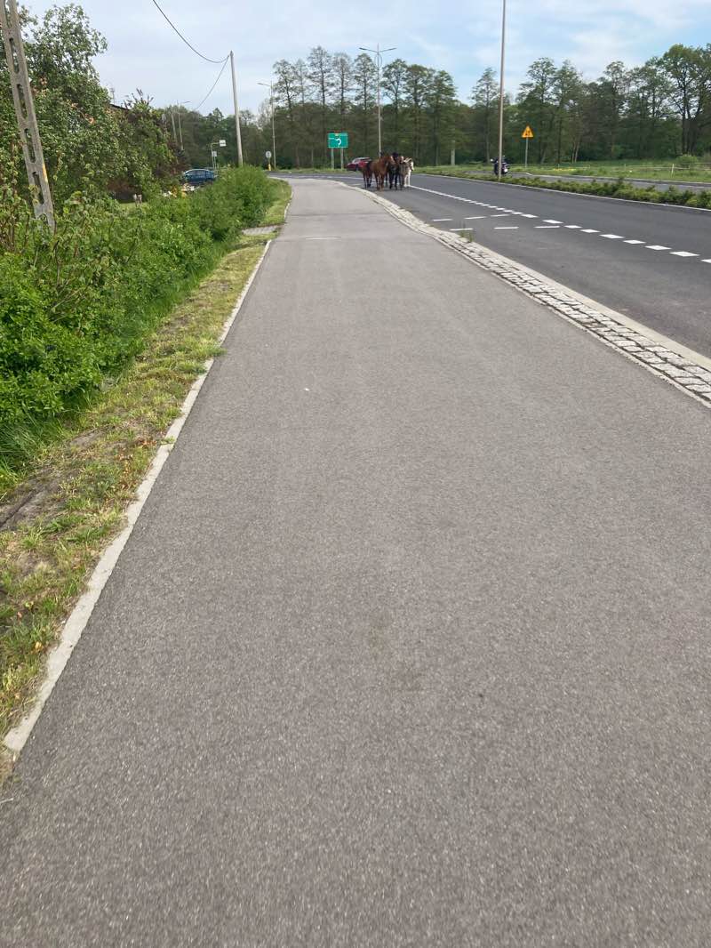 walking near me in Park 750-lecia Goleniowa in winter