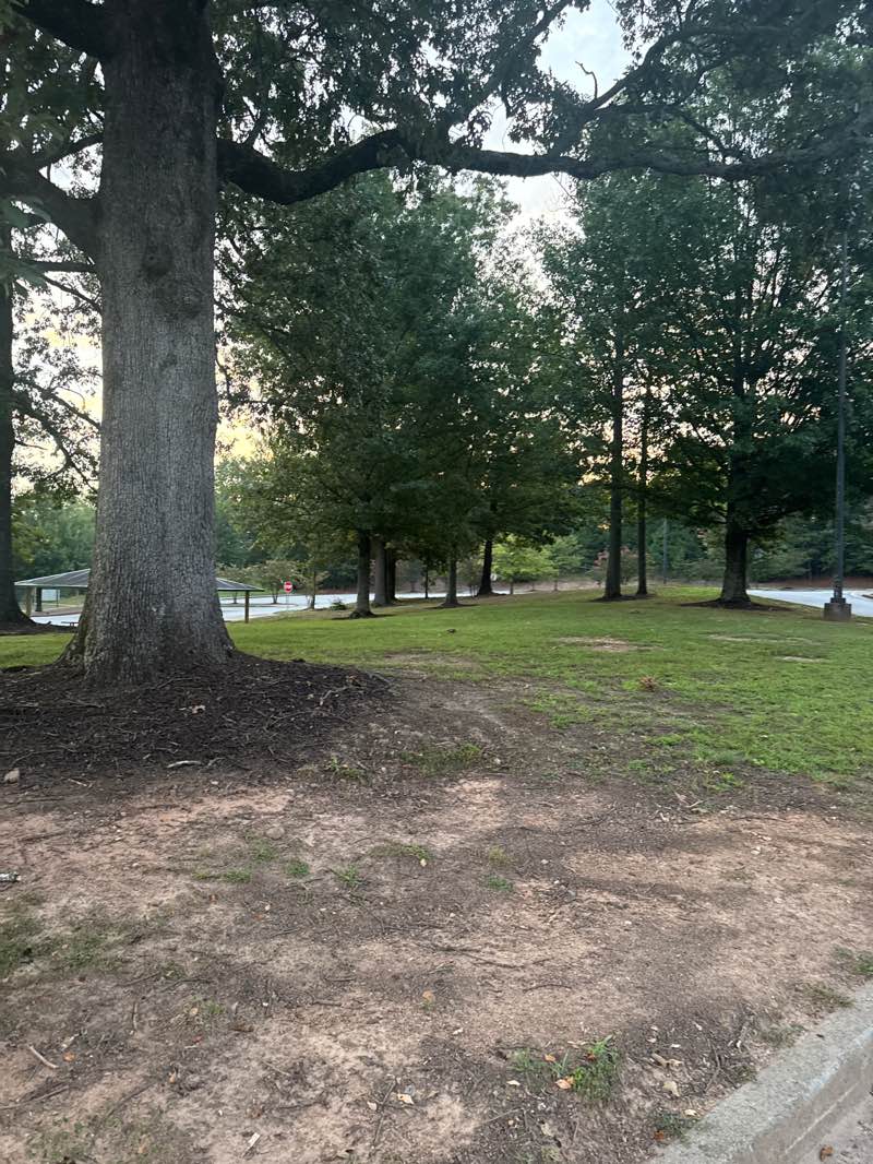 walking near me in Joint Venture Park in autumn