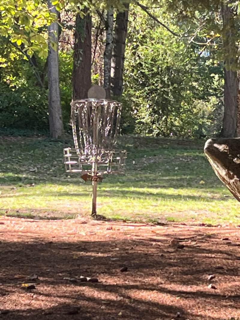 walking near me in North Seatac Park in winter