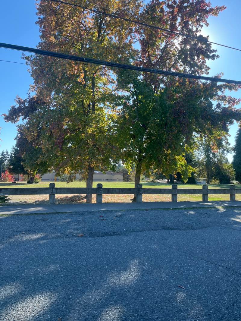 walking near me in Puget Sound Park in autumn
