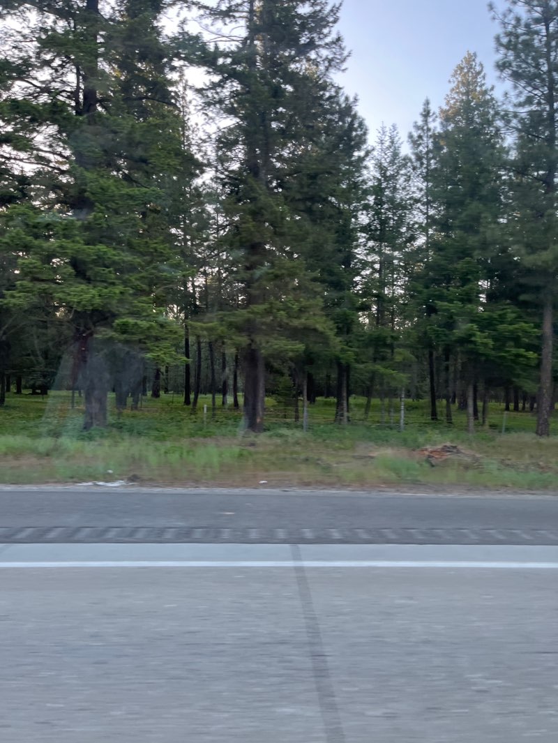 walking near me in Washington State Horse Park in spring
