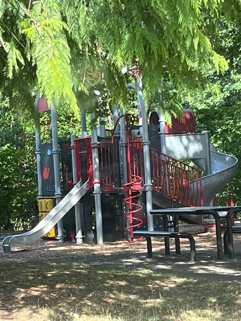 walking near me in Arbor Lake Park in autumn