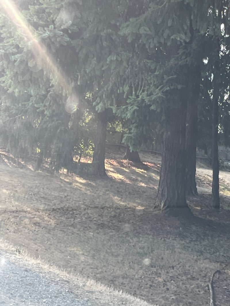 walking near me in Hazel Valley Park in autumn
