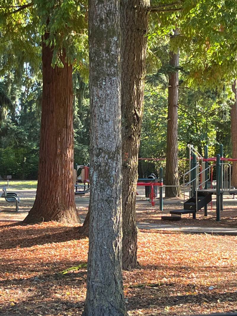 walking near me in Mathison Park in autumn