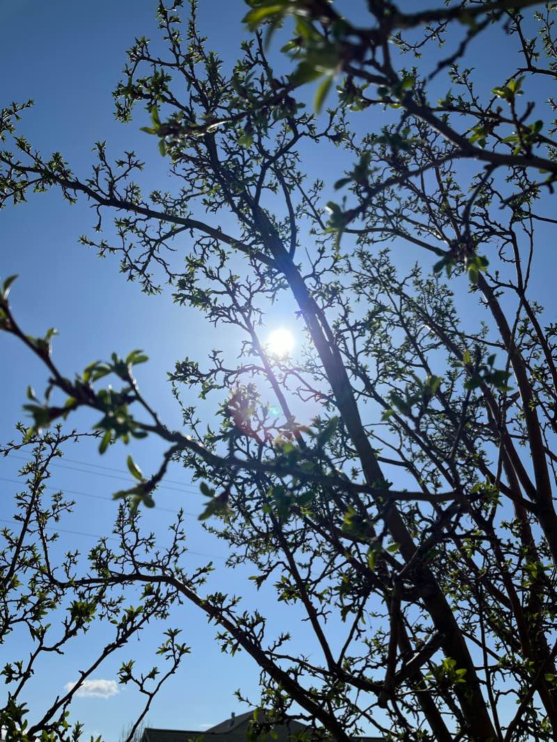 walking near me in Willow Haven Park in winter