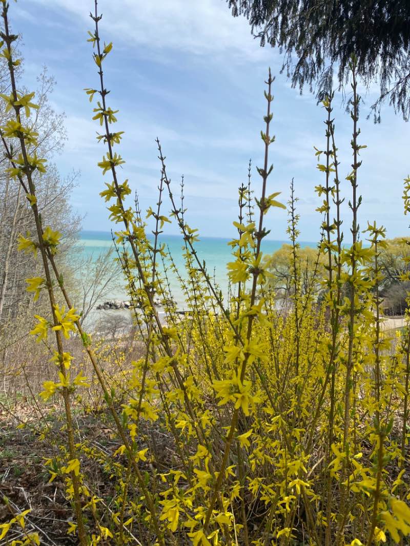 walking near me in Klode Park in winter