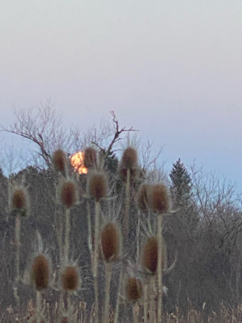 walking near me in Kinderberg Park in winter