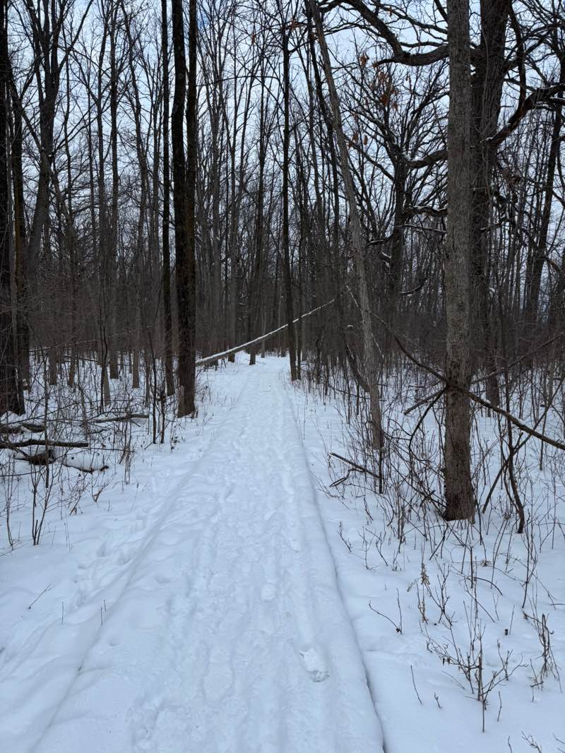 walking near me in Homestead Hollow Park in winter