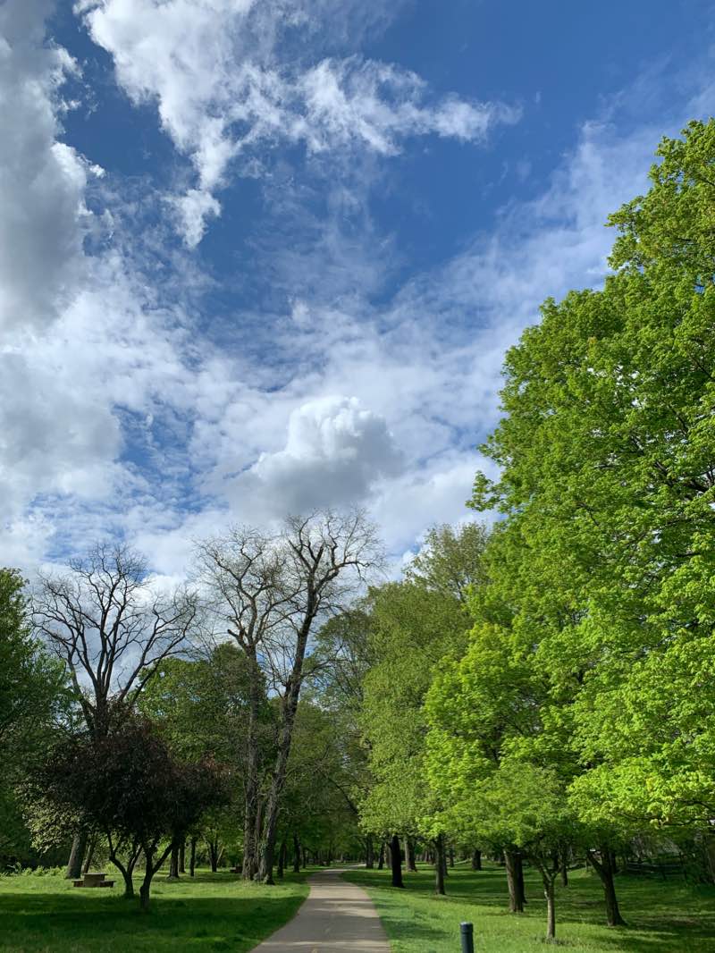 walking near me in Whetstone Park in winter