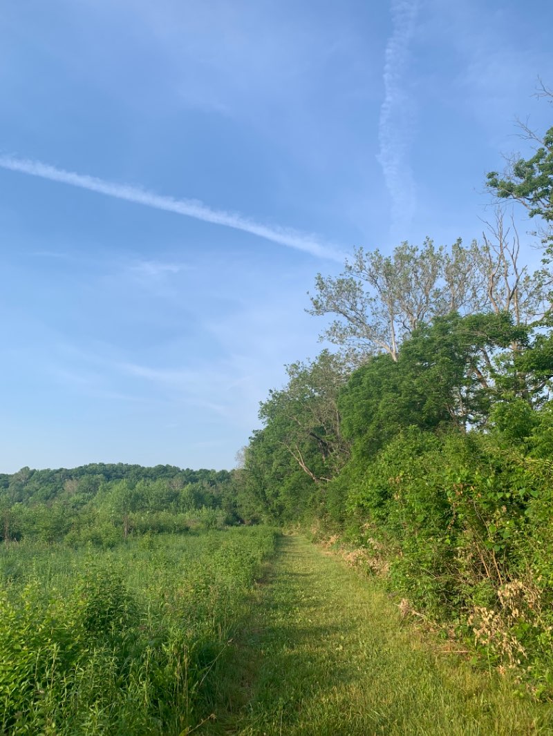 walking near me in Twin Creek MetroPark in winter