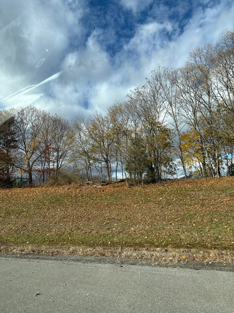 walking near me in River Park in autumn