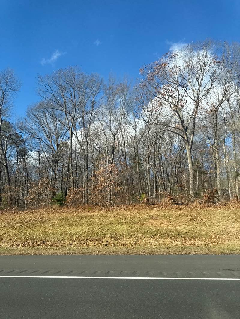 walking near me in Crandall Park in autumn