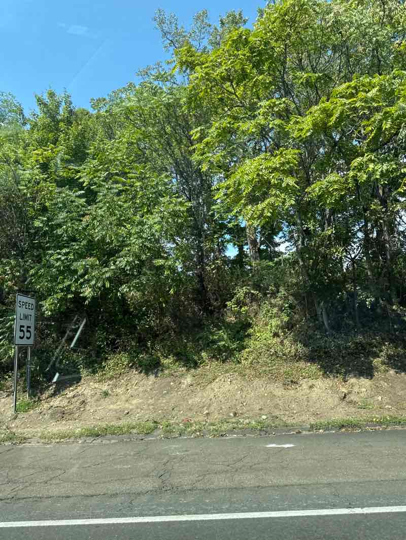 walking near me in Machamux Park in autumn