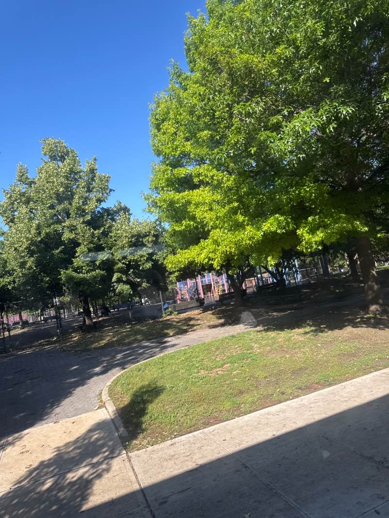 walking near me in McCarren Park in summer