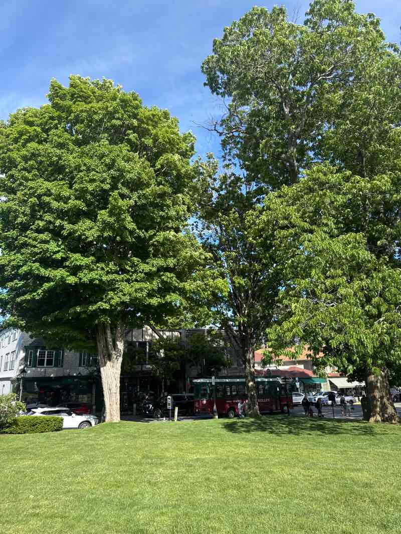 walking near me in Village Green in summer
