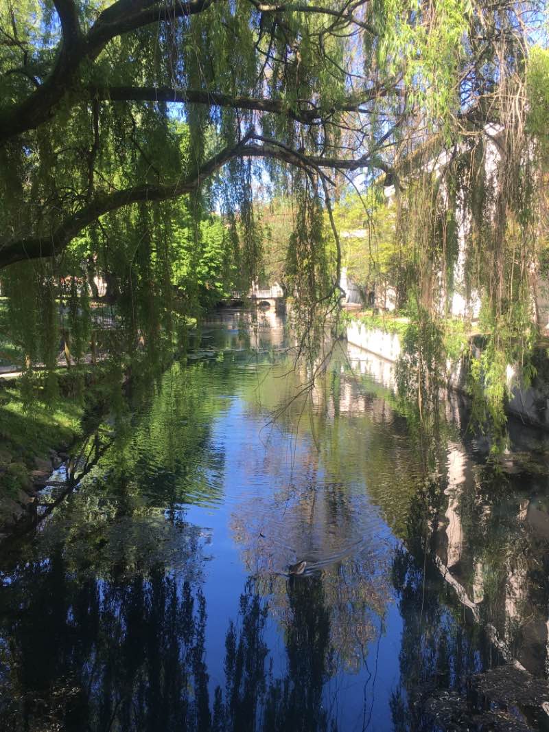 walking near me in Giardini Salvi in winter