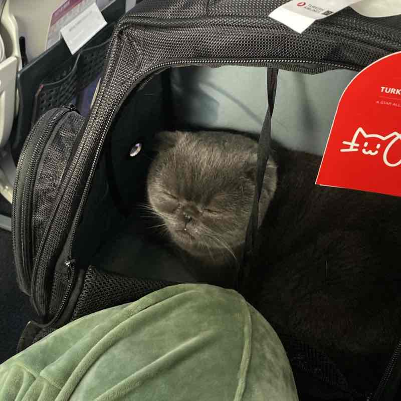 Khallo peri post image